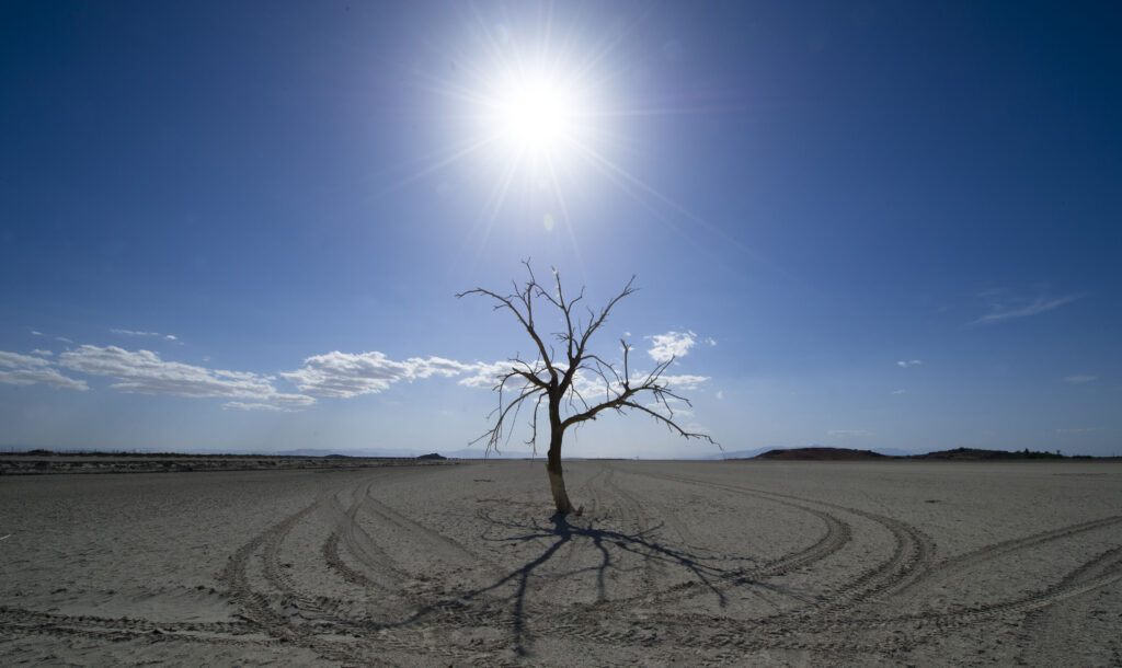 2023 likely to hottest year ever recorded INDIA New England News