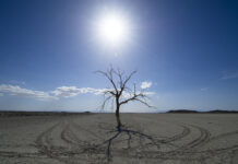 2023 likely to become hottest year ever recorded