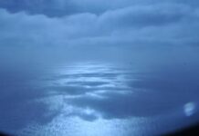 Indian scientists unravel origin of giant gravity hole in Indian Ocean