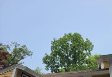 Hearing in South Asian Home Robbery Case Postponed Amid Rising Community Outcry