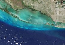 Warming climate changed color of over 56% world’s ocean: Study