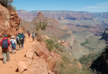 Indian-origin man dies while hiking in Grand Canyon
