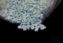 2 Indian nationals charged for role in fentanyl distribution in US