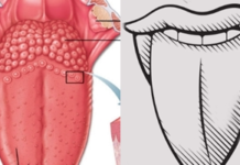 Scientists unlock secrets of a sixth basic flavor