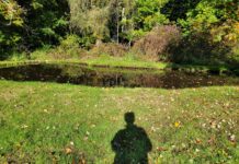 Pearls of Wisdom: Truth, Fiction and the Social Media Delusion