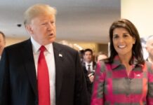 After Trump, Nikki Haley ‘most favoured’ probable for US Presidency in 2024