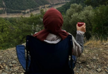 What are your travel plan for the Christmas Long Weekend?