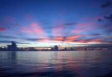 World’s oceans break record for highest temperatures 5 years in a row: Study