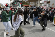96th Academy Awards: Protesters disrupt Oscars red carpet