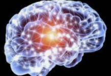 Study decodes how human brain plans before speaking