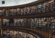 Summer reads for everyone