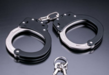 Domestic Help’s Spending Spree After High-Security Delhi Theft Leads to Swift Arrest