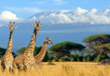 Six stunning sustainable travel champions to explore