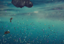 Reducing plastic pollution by 5pc yearly may stabilise ocean microplastics