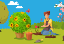 Plant for the Planet: 5 Ways to Support Backyard Pollinators