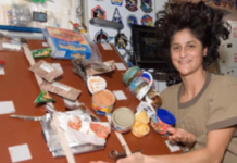 Food aroma study debunks why food tastes bad in space