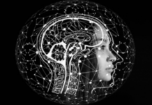 Healthy lifestyle, awareness key to combat rising brain stroke, diseases