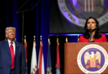 Former Democrat Tulsi Gabbard endorses Trump for 2024 presidential race