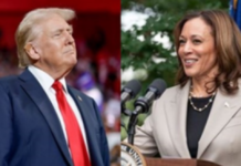 Trump says no more presidential debate with Harris