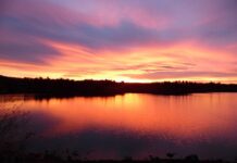 As the World Celebrates Domestic Violence Awareness Month in October, Saheli Boston Organizes Walkathon to Raise Awareness