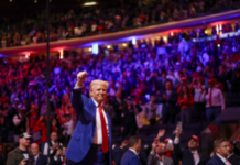 US election: Poll aggregator shows Trump to win if swing state polls hold