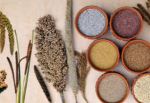 Indian practice of limiting food waste, more veg diets can mitigate climate change: Report