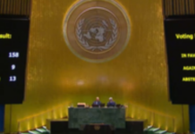 India votes in favor of UNGA resolution for ‘immediate, unconditional, permanent’ Gaza ceasefire