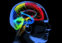 Study Finds Over 30 Minutes of Instagram or Snapchat Use May Weaken Children’s Attention Span