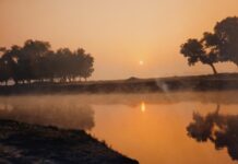 My Journey Without My Mother Part-2: A Memoir