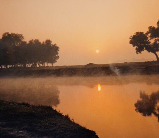 My Journey Without My Mother Part-2: A Memoir