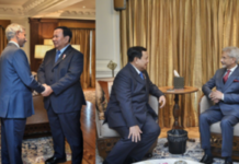 EAM Jaishankar calls on visiting Indonesian President ahead of bilateral talks