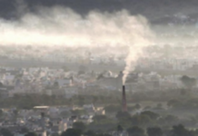 Study decodes how microbes help detoxify our atmosphere