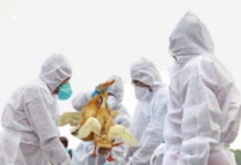 First human bird flu death in US reported