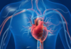 New Noninvasive Skin Imaging Technology May Flag Early Heart Disease Risk