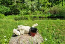 Pearls of Wisdom: Manage Your Mind—It is the Essence of Life