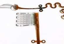 Soft Brainstem Implant Offers High-Resolution Hearing, Say Researchers