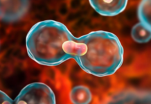 Gene-Based Blood Test May Help Detect Early Signs of Cancer Recurrence