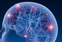 Study Identifies Genetic Variants Linked to Drug-Resistant Epilepsy