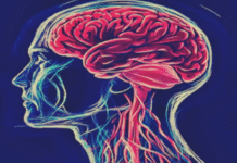 Air Pollution Linked to Increased Stroke Risk in Older Adults, Especially Men: Study