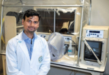 Indian-Origin Scientist Develops Probiotic Cocktail That May Help Prevent Dementia