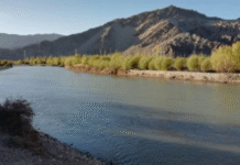 India to Prioritize Domestic Use of Indus Waters: PM Modi Sends Strong Message to Pakistan