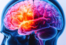 Study Links Oral Bacteria to Increased Risk of Parkinson’s Disease