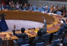 India gives proof of TRF terror to UNSC sanctions panel monitoring team: Sources