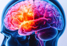 Study Links Microplastic Exposure to Alzheimer’s Risk in Mice