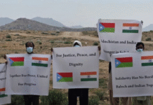 Baloch Activist Thanks India, Urges Global Action on Pakistan’s Atrocities in Balochistan