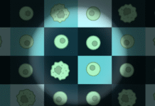 Tracking exactly how cancer progresses