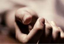 Seetha’s Death Was Murder, Not Elephant Attack; Husband in Custody