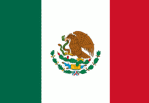 Handcuffs, Mugshots, and the Nurse: A Border Encounter I’ll Never Forget: A Memoir-19