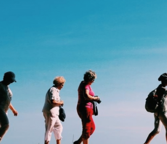 India’s Tourism Sector Set to Surpass ₹22 Lakh Crore in 2025: WTTC Report