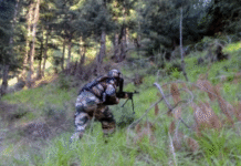 Army Foils Infiltration Bid on LoC in J&K, Kills Two Terrorists; Local Guide Captured
